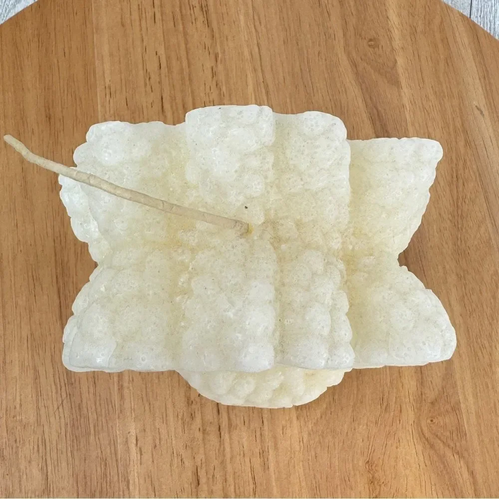 3D‎ Ocean Coral Wax Candle Ivory Cream